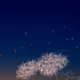 Noctilucent Memento #184