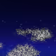 Noctilucent Memento #145