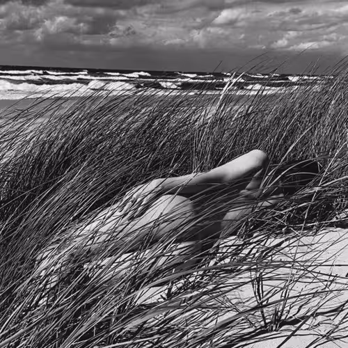 Monochrome Dream