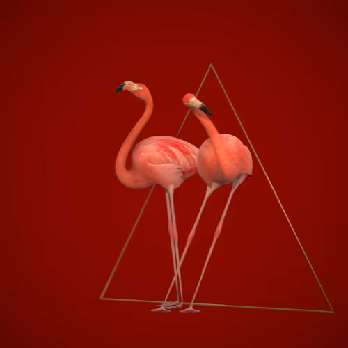 Item #1100020026 Media