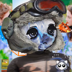 2068