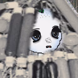 1426