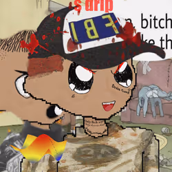 253