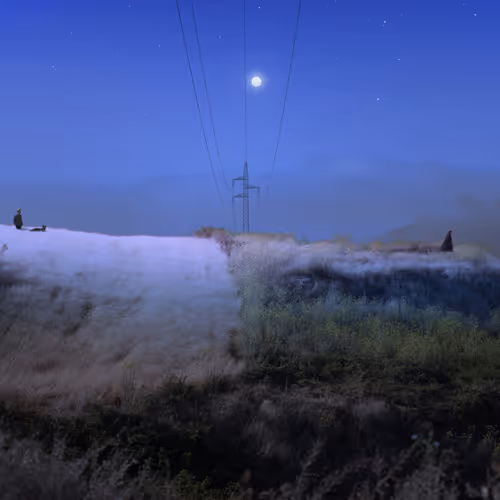 Searching for Home