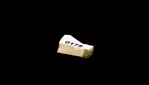 Item #1229 Media