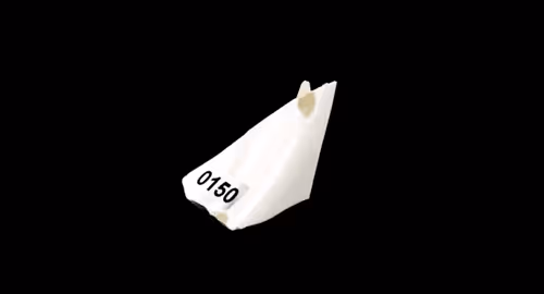 Item #1395 Media