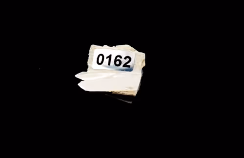 Item #1407 Media