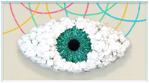Eye