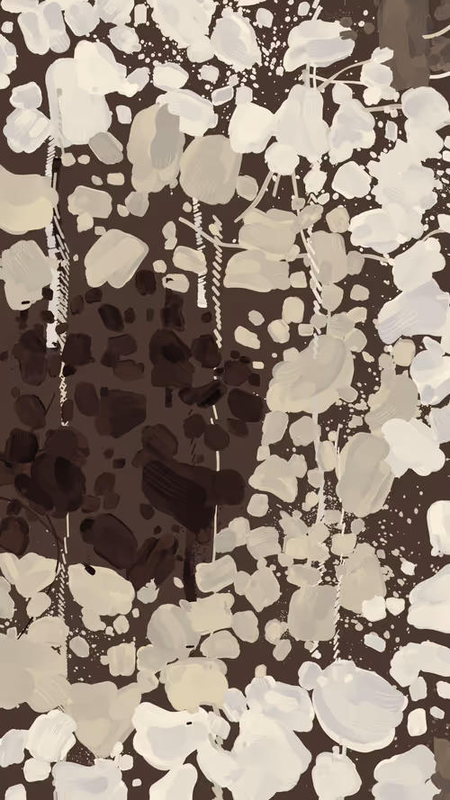 Item #13000002 Media