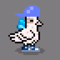 CryptoBirbs by Vodnik #1513