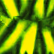 1050