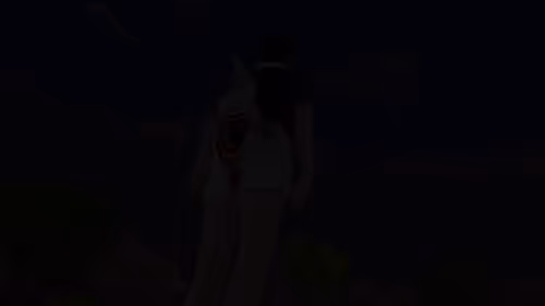 Item #17 Media