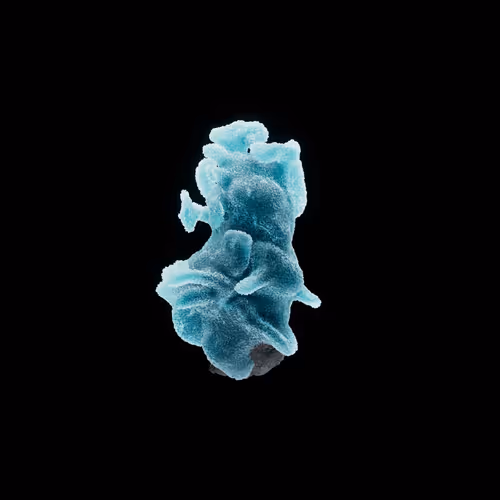 OG:Crystal 9049