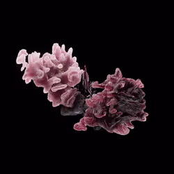 OG:Crystal 2015