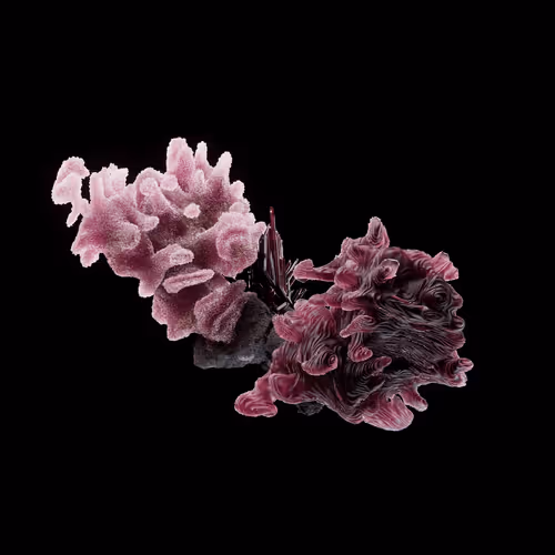 OG:Crystal 2015