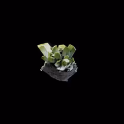 OG:Crystal 9743