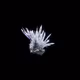 OG:Crystal 9452