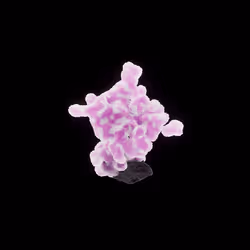 OG:Crystal 498