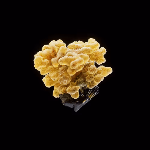 OG:Crystal 6681