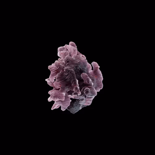 OG:Crystal 9273