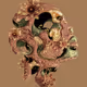 Intoflora V2