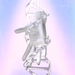 637