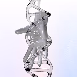 647