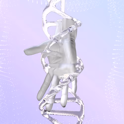 Item #631 Media