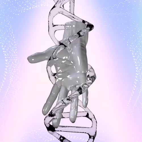 Item #732 Media