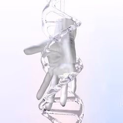 553
