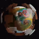 26