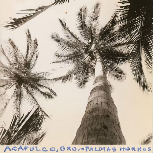 Item #39832707741741658249648333051879371727174779122217942523026997787382701778816 Media