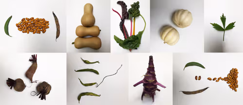 Item #53017527382160263344949129023907998942180735038365341211366764333346844304723 Media