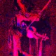 62