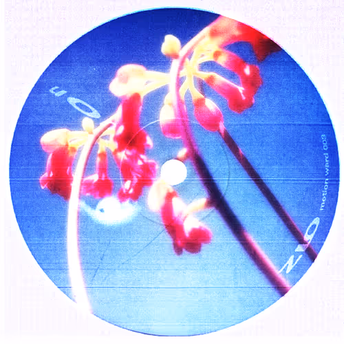 PETALS & PALETTES
