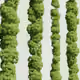 2696