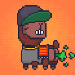 ALPACADABRA #3649