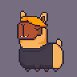 ALPACADABRA #2638