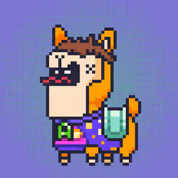 ALPACADABRA #430