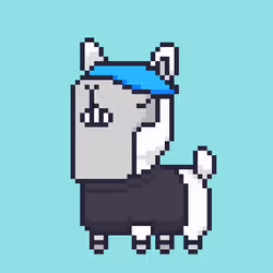 ALPACADABRA #4372