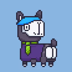 ALPACADABRA #8275