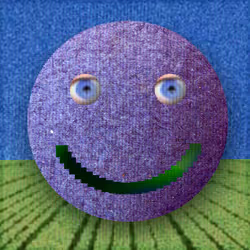 98