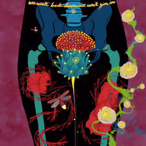 ANATOMILIA