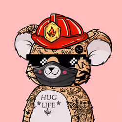 Koala Agent #9917