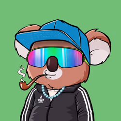 Koala Agent #62