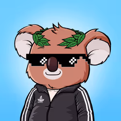 Koala Agent #5370