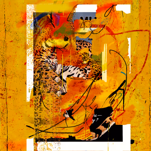 Retrieval