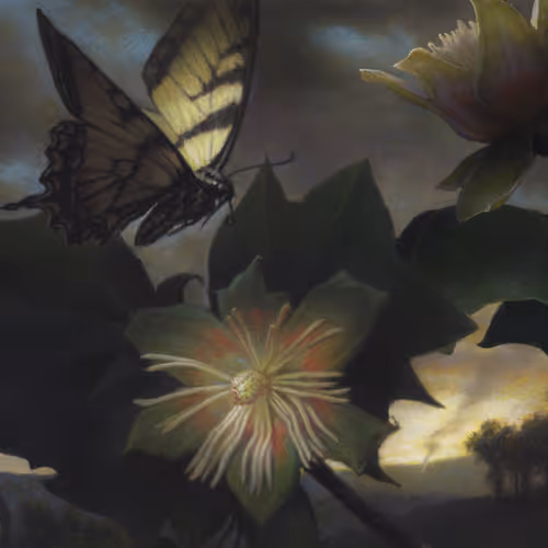 Wunderkammer V2