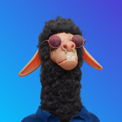 Laid Back Llama #2637