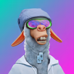 Laid Back Llama #2791